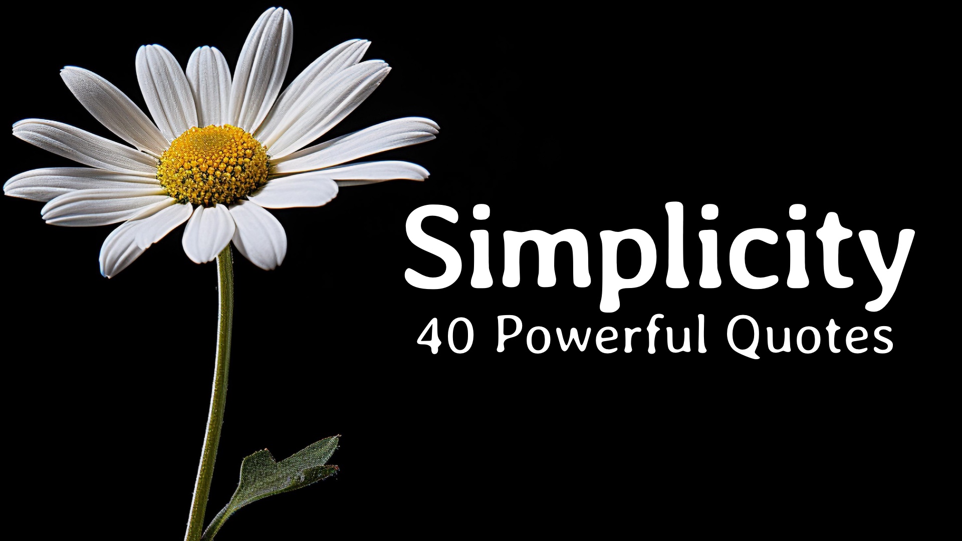 40 Powerful Quotes on Simplicity